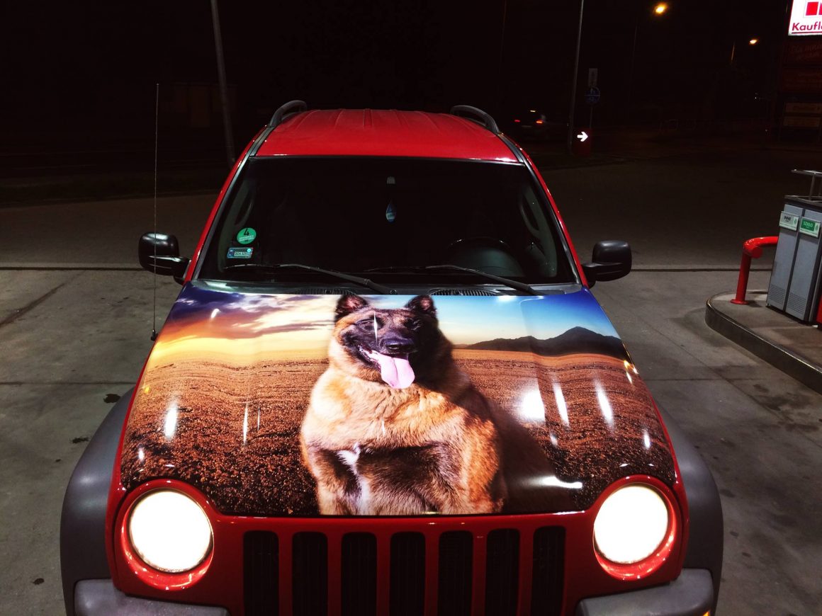 Car for Pets ! :D